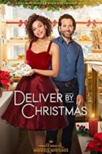 Watch Deliver by Christmas Movie25