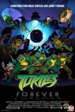 Watch Teenage Mutant Ninja Turtles Turtles Forever Movie25