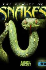Watch The Beauty of Snakes Movie25