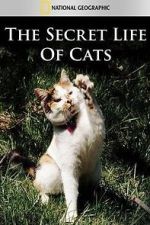 Watch The Secret Life of Cats Movie25