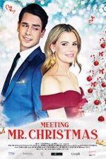 Watch Meeting Mr. Christmas Movie25