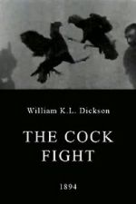 Watch The Cock Fight Movie25