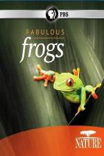 Watch Nature: Fabulous Frogs Movie25