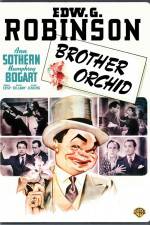 Watch Brother Orchid Movie25