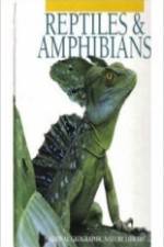 Watch Reptiles and Amphibians Movie25