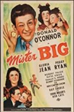 Watch Mister Big Movie25