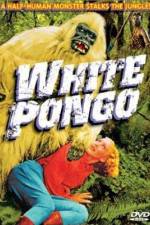 Watch White Pongo Movie25