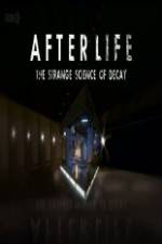 Watch After Life: The strange Science Of Decay Movie25