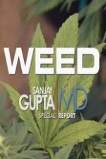 Watch CNN Weed Sanjay Gupta Report Movie25