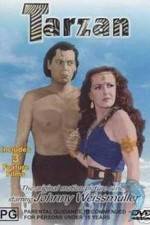 Watch Tarzan's Desert Mystery Movie25