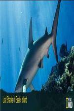 Watch National Geographic Wild - Lost Sharks of Easter Island Movie25