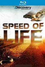 Watch Speed of Life Movie25