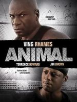 Watch Animal Movie25