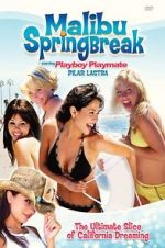 Watch Malibu Spring Break Movie25