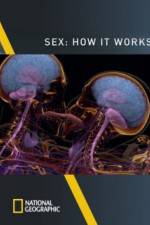 Watch Sex How It Works Movie25