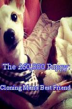 Watch The 60,000 Puppy: Cloning Man's Best Friend Movie25