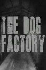 Watch The Dog Factory Movie25