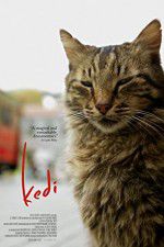 Watch Kedi Movie25