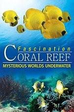 Watch Fascination Coral Reef: Mysterious Worlds Underwater Movie25