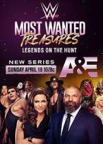 WWE's Most Wanted Treasures movie25