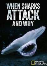 Watch When Sharks Attack... And Why Movie25