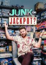 Junk or Jackpot? movie25
