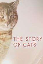 Watch The Story of Cats Movie25