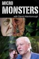 Watch Micro Monsters 3D with David Attenborough Movie25