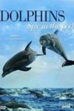 Watch Dolphins: Spy in the Pod Movie25