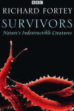 Watch Survivors: Nature's Indestructible Creatures Movie25