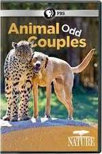 Watch Animal Odd Couples Movie25
