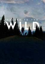 Watch Called to the Wild Movie25
