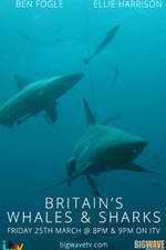 Watch Britain's Whales and Sharks Movie25