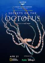 Secrets of the Octopus movie25