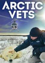 Watch Arctic Vets Movie25
