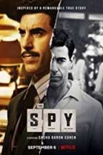 Watch The Spy Movie25