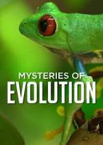 Watch Mysteries of Evolution Movie25