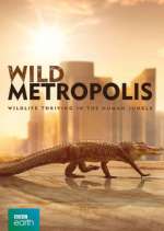 Watch Wild Metropolis Movie25