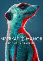 Watch Meerkat Manor: Rise of the Dynasty Movie25