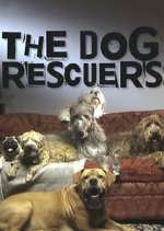 Watch The Dog Rescuers with Alan Davies Movie25