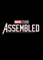 Marvel Studios: Assembled movie25