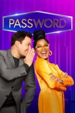 password tv poster