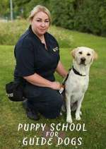 Watch Puppy School for Guide Dogs Movie25