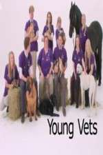 Watch Young Vets Movie25