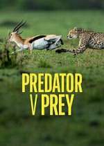 Watch Predator v Prey Movie25