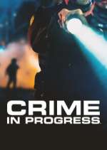 Crime in Progress movie25