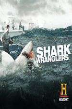Watch Shark Wranglers Movie25