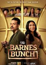 Watch The Barnes Bunch Movie25