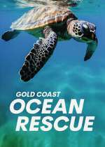 Watch Gold Coast Ocean Rescue Movie25