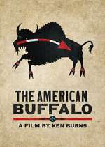 Watch The American Buffalo Movie25